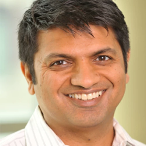 Headshot of BCG expert Vikas Taneja