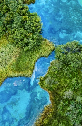 Green_Venturing_in_Southeast_Asia.jpg