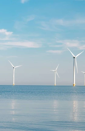 The What Future for Climate Trade-wef blog-rectangle.jpg