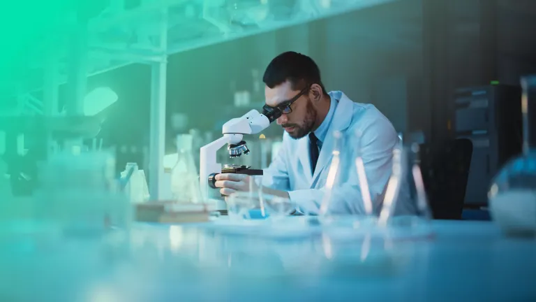 Boston Consulting Group