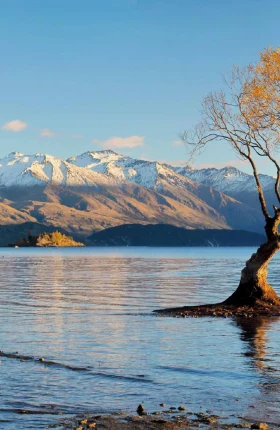 accelerating-new-zealand-net-zero-journey-Rectangle.jpg