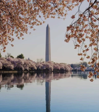 Washington-DC-hero-image.jpg