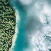 Aerial image of a blue ocean that reflects the sky and meets a forested coastline.