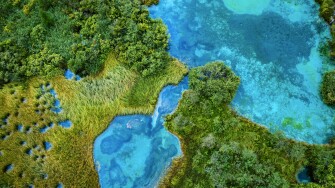 Green_Venturing_in_Southeast_Asia.jpg