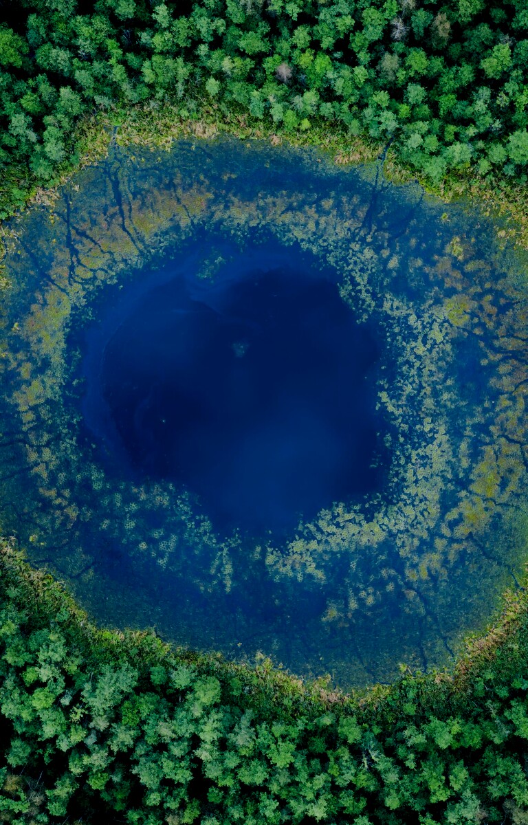 Aerial image of a blue pond surrounded by a dense green forest.