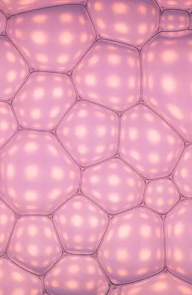 AI in small-molecule drug discovery a coming wave- rectangle.jpg