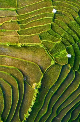 Can Gas Be Green The Role of Gas in Southeast Asia’s Climate Transition | Rectangle