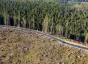 For Consumer Companies, It Will Take Collective Action to Fight Deforestation - rectangle