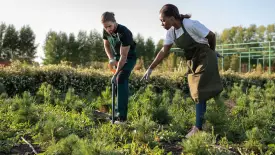 Fertile-Ground-How-Soil-Carbon-Can-Be-a-Cash.jpg