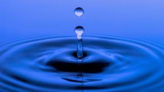 Value Creation in Chemicals 2020: Bouncing Back from a Year of Adversity