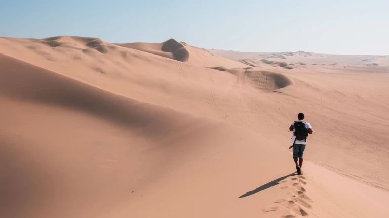 Image 19: The CEO’s Dilemma