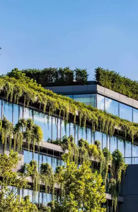 Make Climate Adaptation a Top Business Priority | rectangle