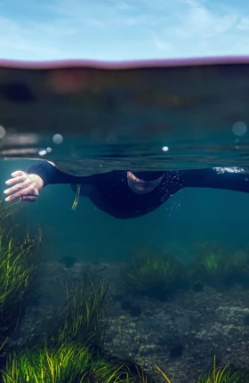 Seaweed Is Making Waves in Sustainability - rectangle