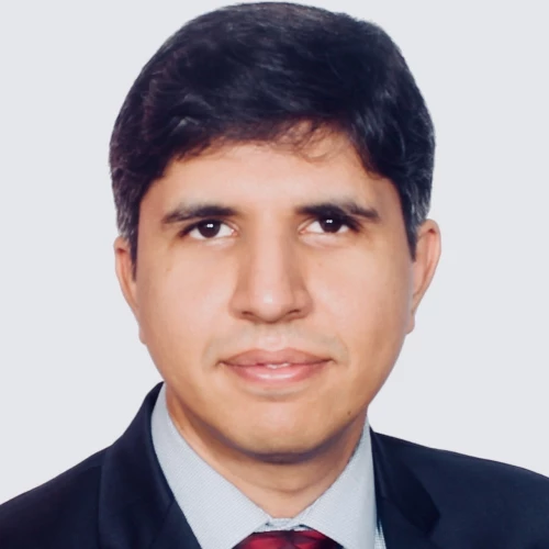 Mayank Jha.jpg