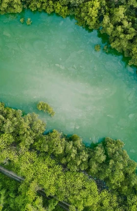 green-tech-au-cœur-de-la-decarbonation-de-la-reindustrialisation-et-de-la-souverainete-economique.jpg