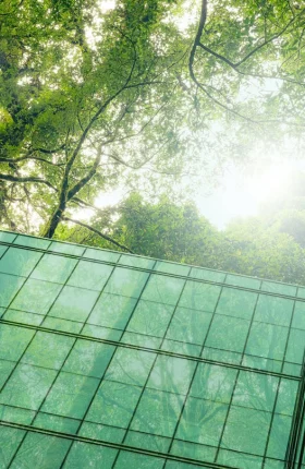 Nature Is Banking’s Next Opportunity | HERO