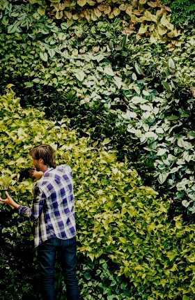 Sustainability Strategy_Hero_rectangle.jpg