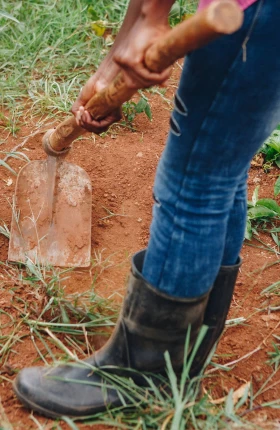 Transforming Africa’s Food Systems from the Demand Side