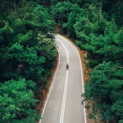 Image of person in the middle of a road in the woods