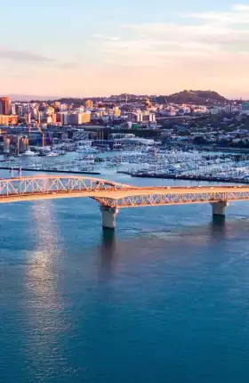 BCG-Auckland.jpg