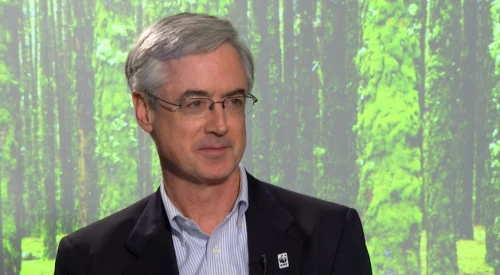 How Business Can Drive Sustainability