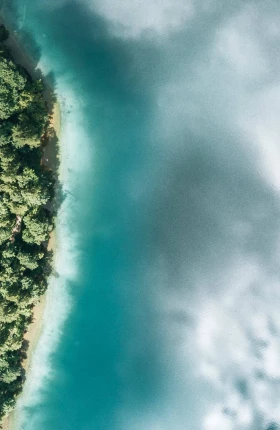 Aerial image of a blue ocean that reflects the sky and meets a forested coastline.