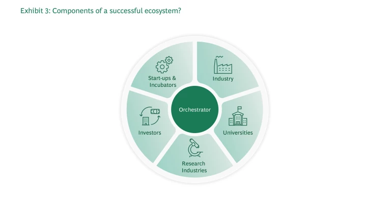 components of a successful ecosystem