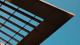 Cutting-More-Data-and-Fewer-Trees-Hero-Rectangle (1).jpg