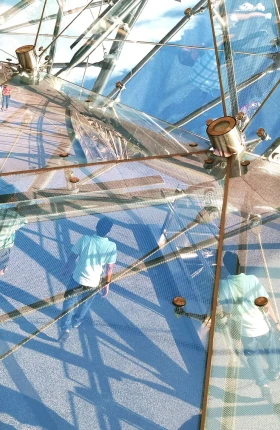 How Digital Natives Are Building Optionality for the Future | Rectangle