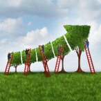 five-secrets-to-scaling-up-agile-640x640-tcm9-42223.jpg