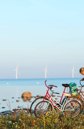 From Compliance to Courage in ESG - rectangle