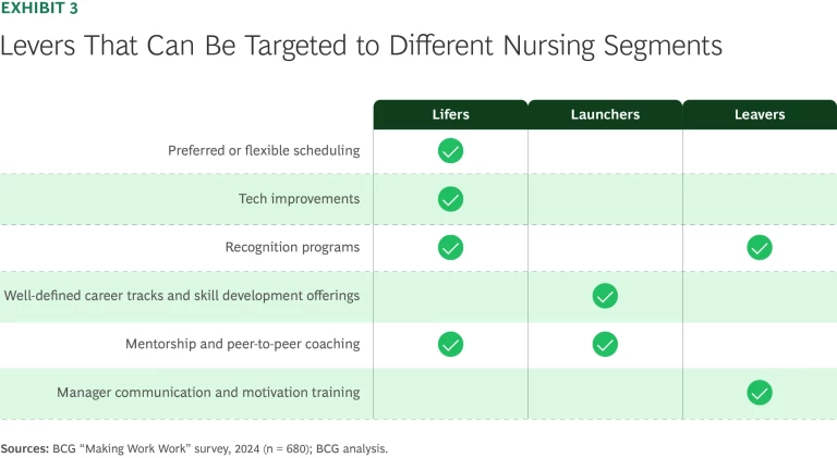 Levers That Can Be Targeted to Different Nursing Segments