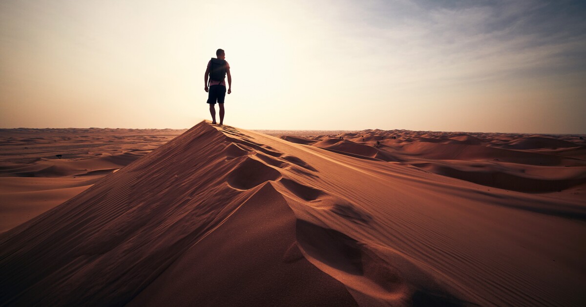 Sustainability Is Our North Star g