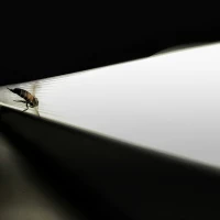 biology-corporate-survival-2880x1620-gradient-tcm9-155912.jpg