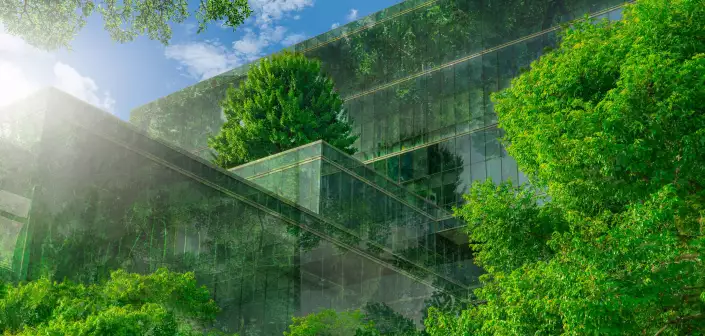 JPR-bcg-cn-index-survey-2024-hero