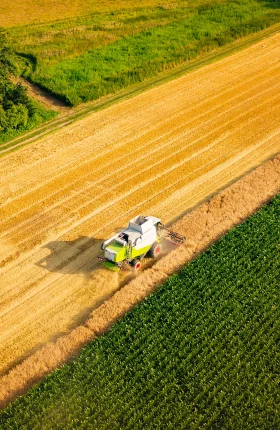 Agribusiness Can Lead the Shift to Sustainable Farming Hero Rectangle