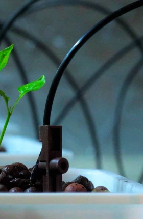 Next Digital Unlocking 50Billion Green Tech Opportunity - BCG White Paper
