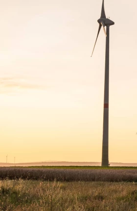 Commit to Tackling Climate Change—and Its Effects - Charmian Caines.jpg