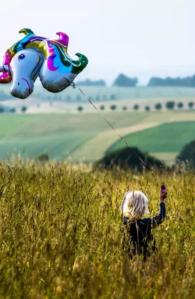 Licornes-a-impact-le-nouvel-age-de-la-valorisation.jpg