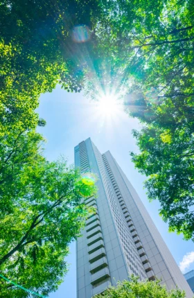 Beyond Science-Based Targets: A Blueprint for Corporate Action on Climate and Nature Teaser