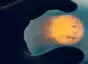 Close-up of person's hand holding sun between fingertips