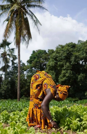 How Regenerative Agriculture Can Increase Africa’s Food Production | Rectangle
