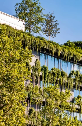 Make Climate Adaptation a Top Business Priority | image with authors