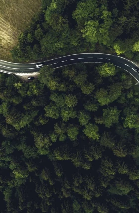 Executive Perspectives | Now Is the Time to Build Advantage and Resilience Through Sustainability | Image