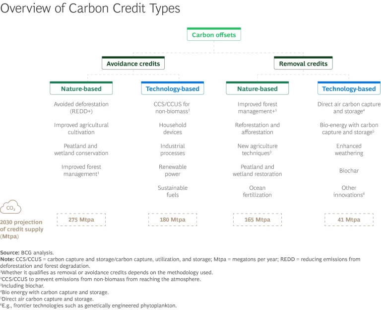 How Forests Can Revitalize Carbon Markets | Sidebar Exhibit