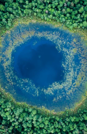 Aerial image of a blue pond surrounded by a dense green forest.