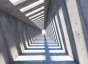 Building Fractal Advantage in a Fragmenting World - rectangle