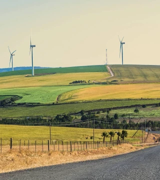 Net-Zero South Africa - Hero Image