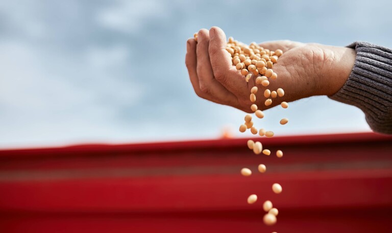 The War in Ukraine and the Rush to Feed the World | rectangle