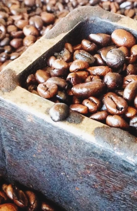 Close-up of coffee beans